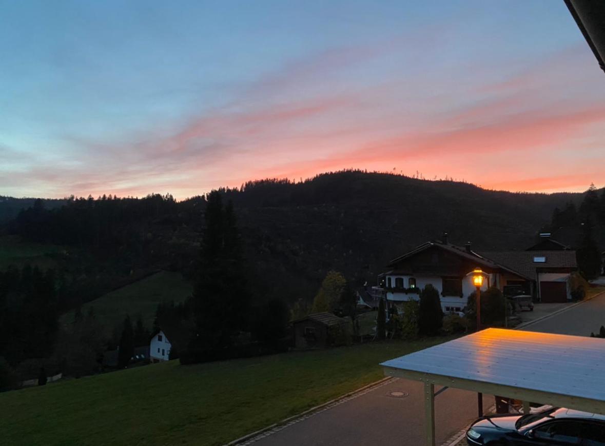 Natalie Appartement Baiersbronn Buitenkant foto