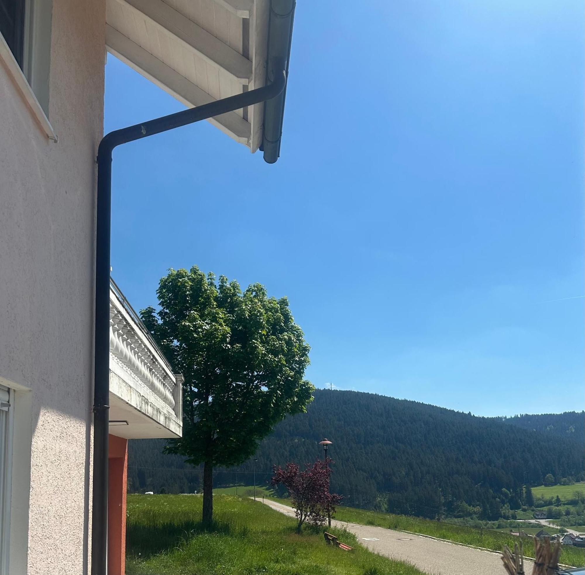 Natalie Appartement Baiersbronn Buitenkant foto